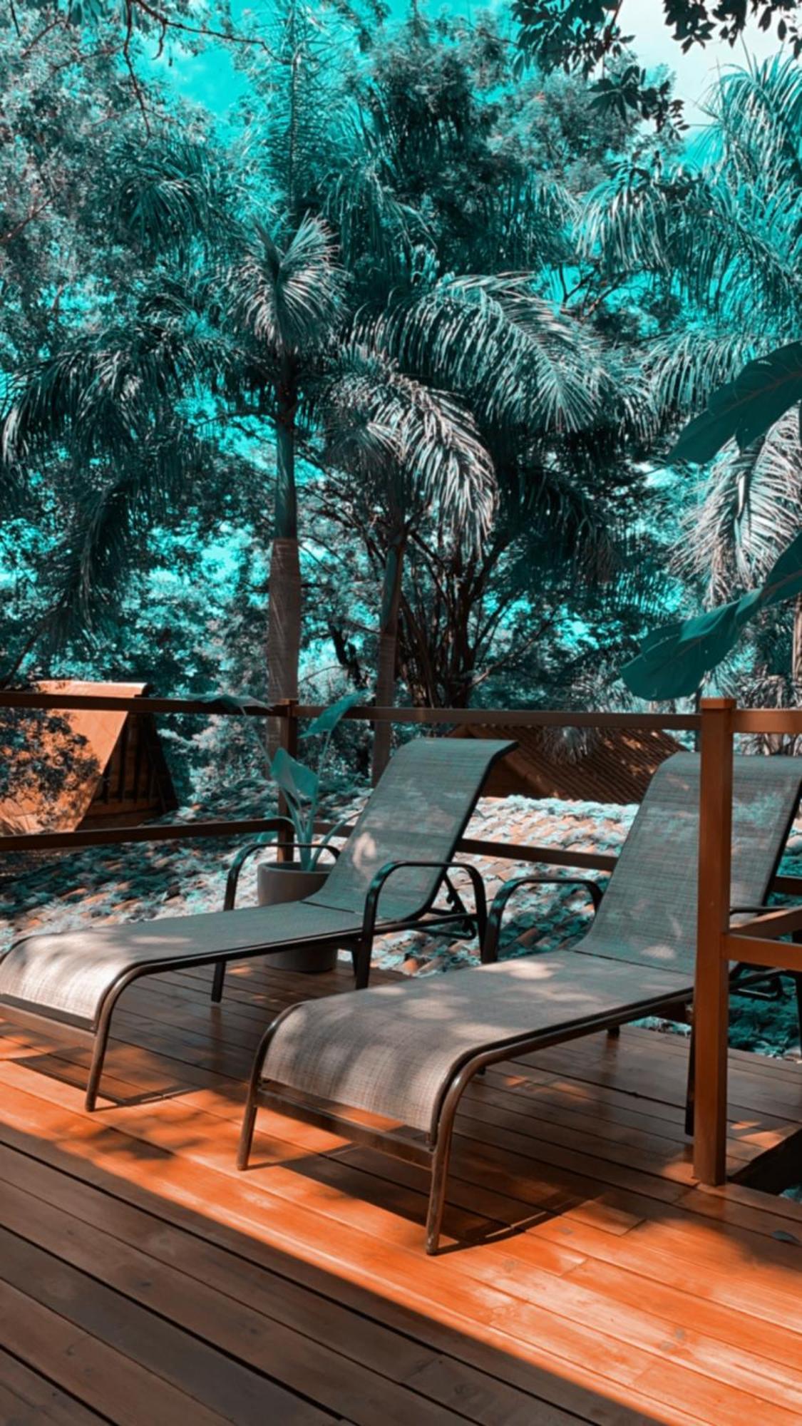 The Beach Bungalows - Yoga And Surf House - Adults Only タマリンド 部屋 写真